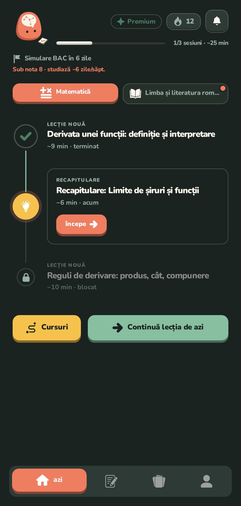 Pagina principală: planul zilei, seria de zile și progresul
