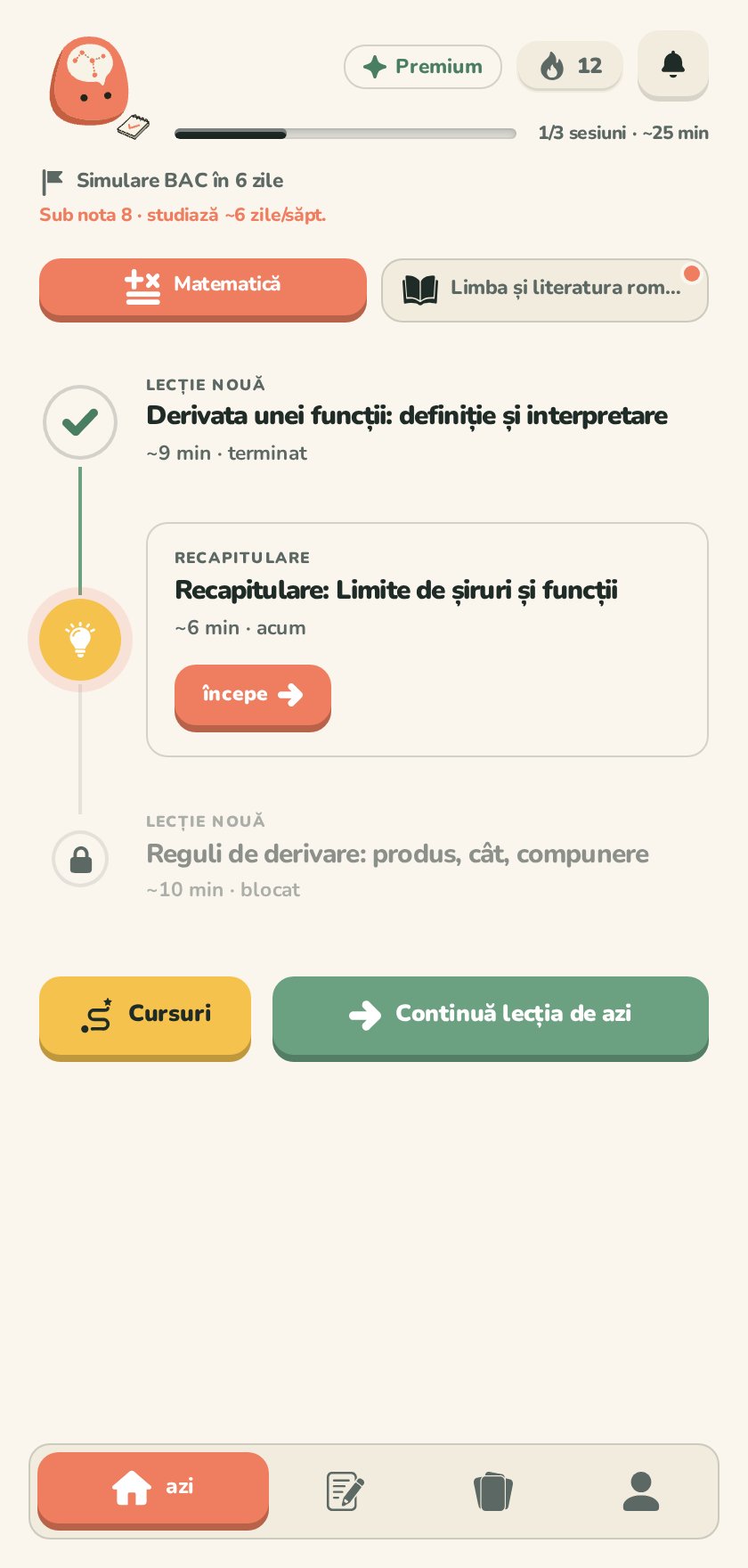 Pagina principală: planul zilei, seria de zile și progresul